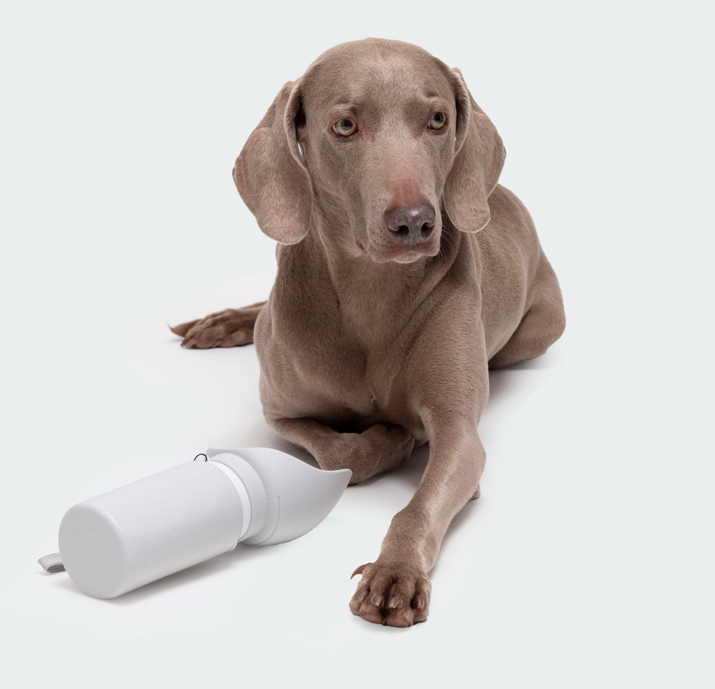 Hunde- Trinkflasche für unterwegs 550ml