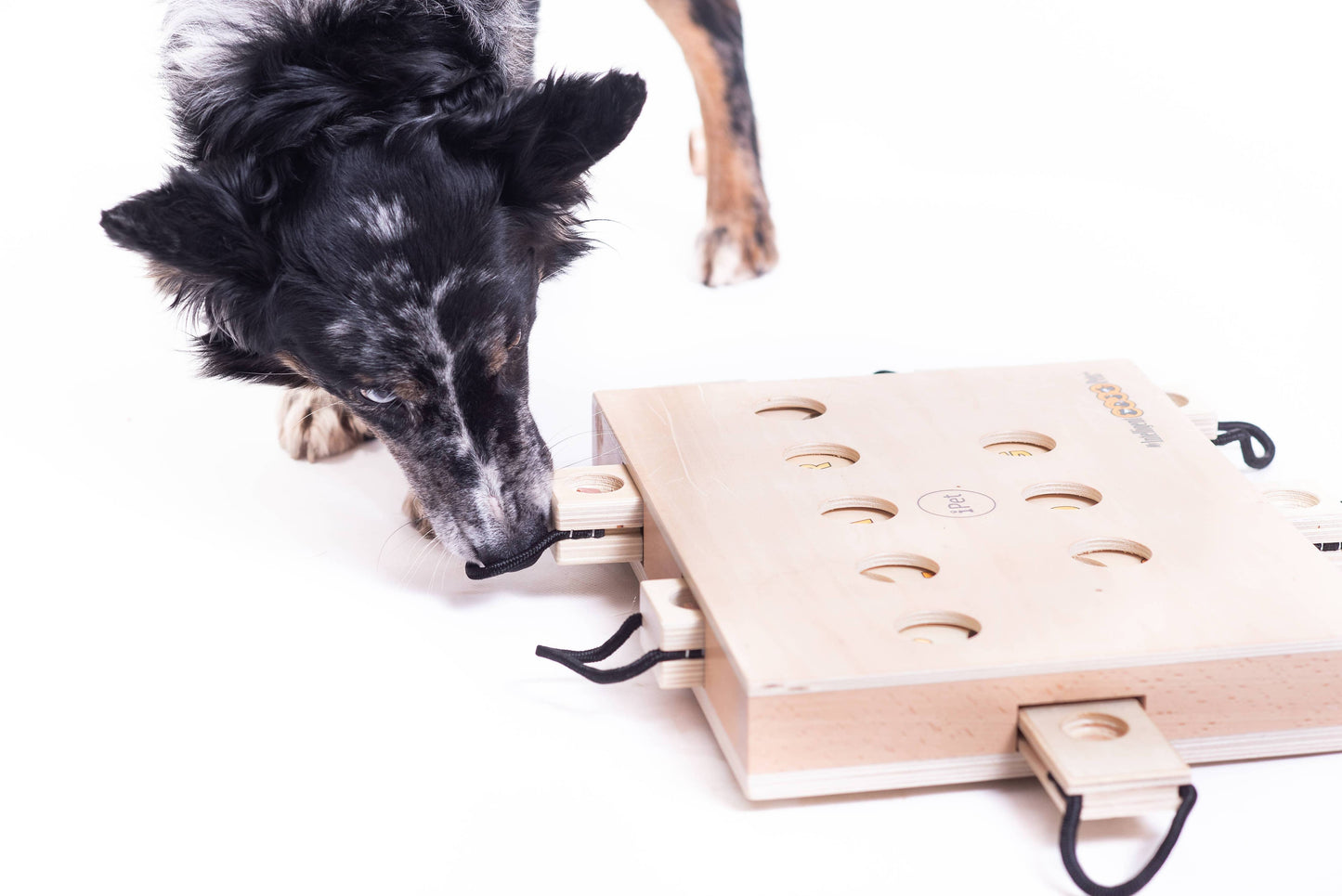 Beschäftigungsspiel für Hunde "iPet"