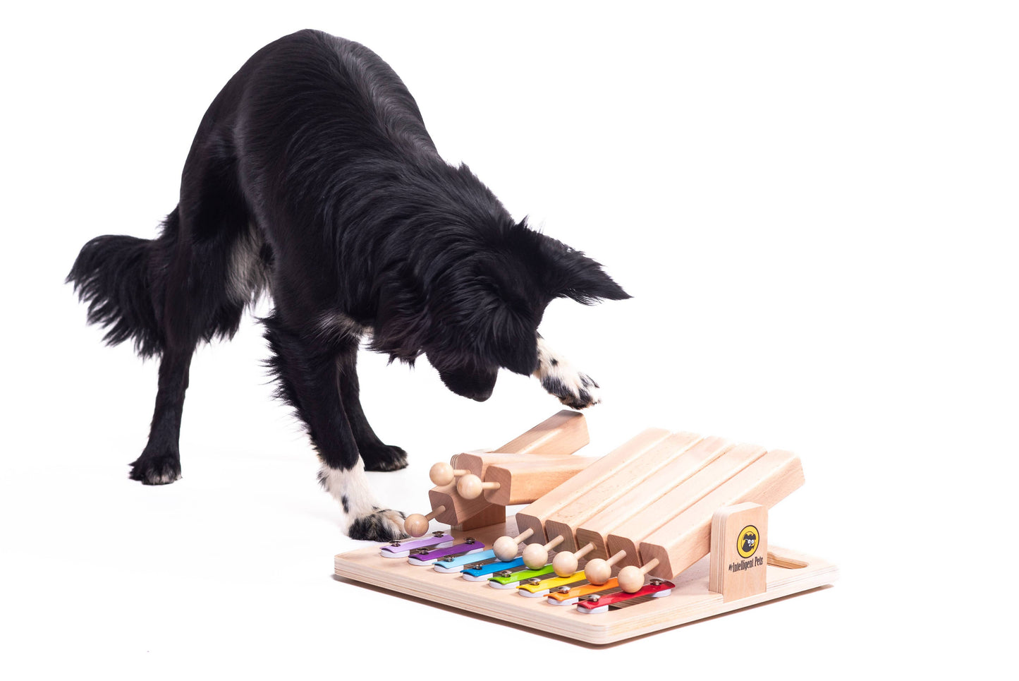 Beschäftigungsspiel für Hunde und Katzen "Pet's Piano"