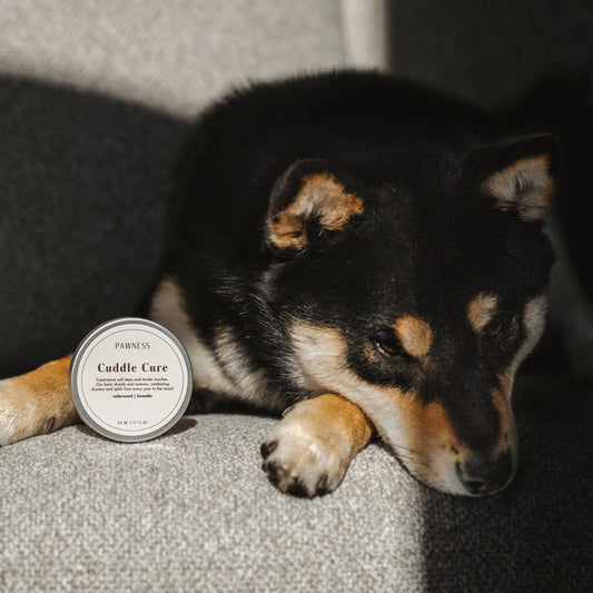 Pflegebalsam "Cuddle Cure" 50ml