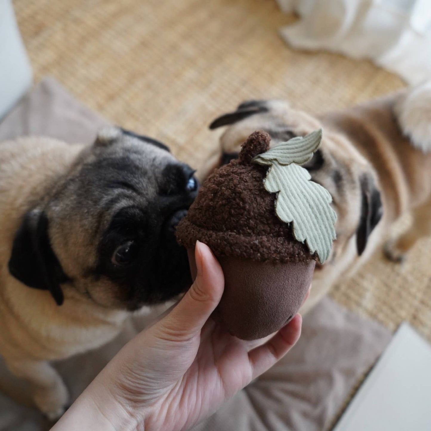 Hundespielzeug "Acorn"