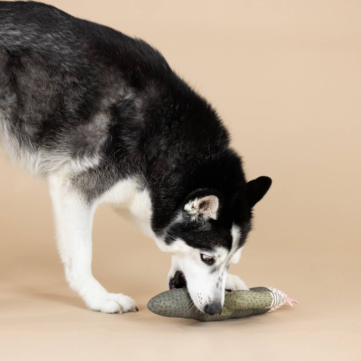 Hundespielzeug "Kaktus"
