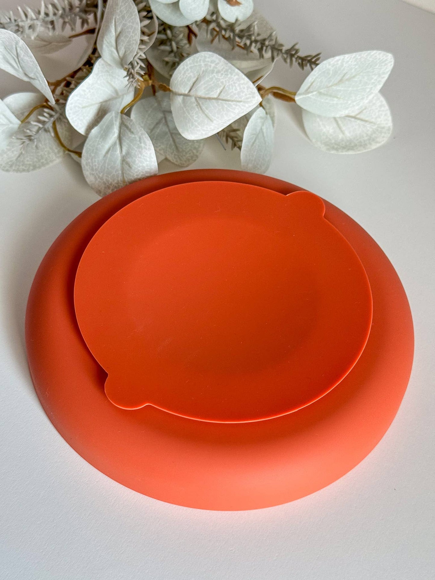 Slow Bowl / Schleckmatte "Double Arch"