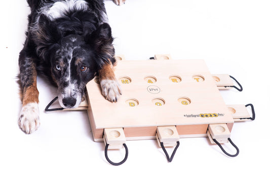 Beschäftigungsspiel für Hunde "iPet"