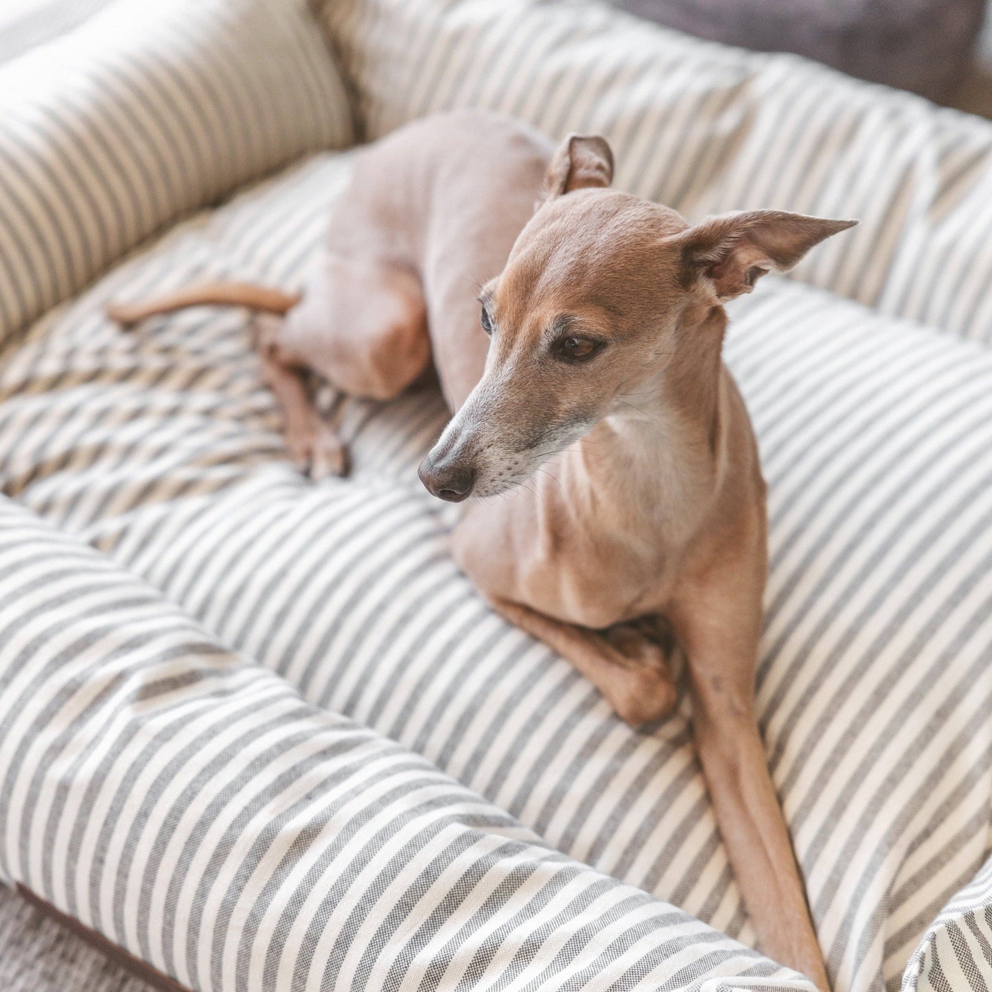 Hundebett "Funda Nuck Apulien" mit abnehmbarem Bezug