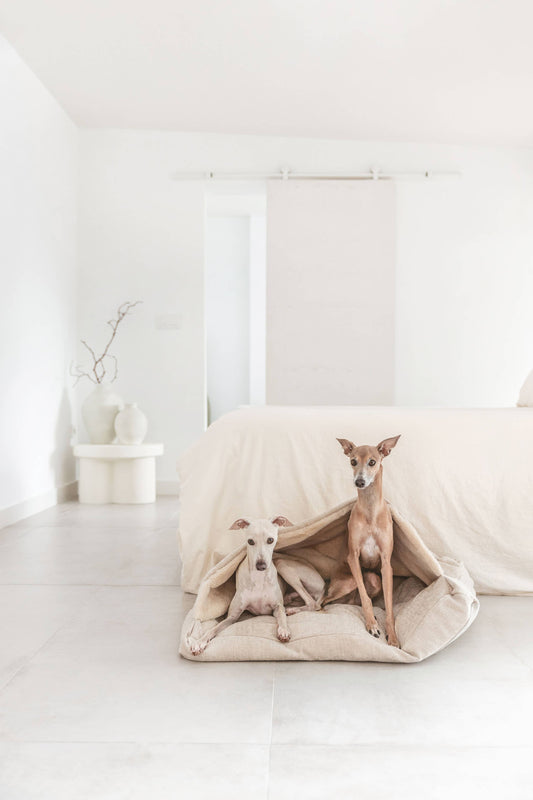 Hundebett "Tahoe" mit abnehmbarem Bezug