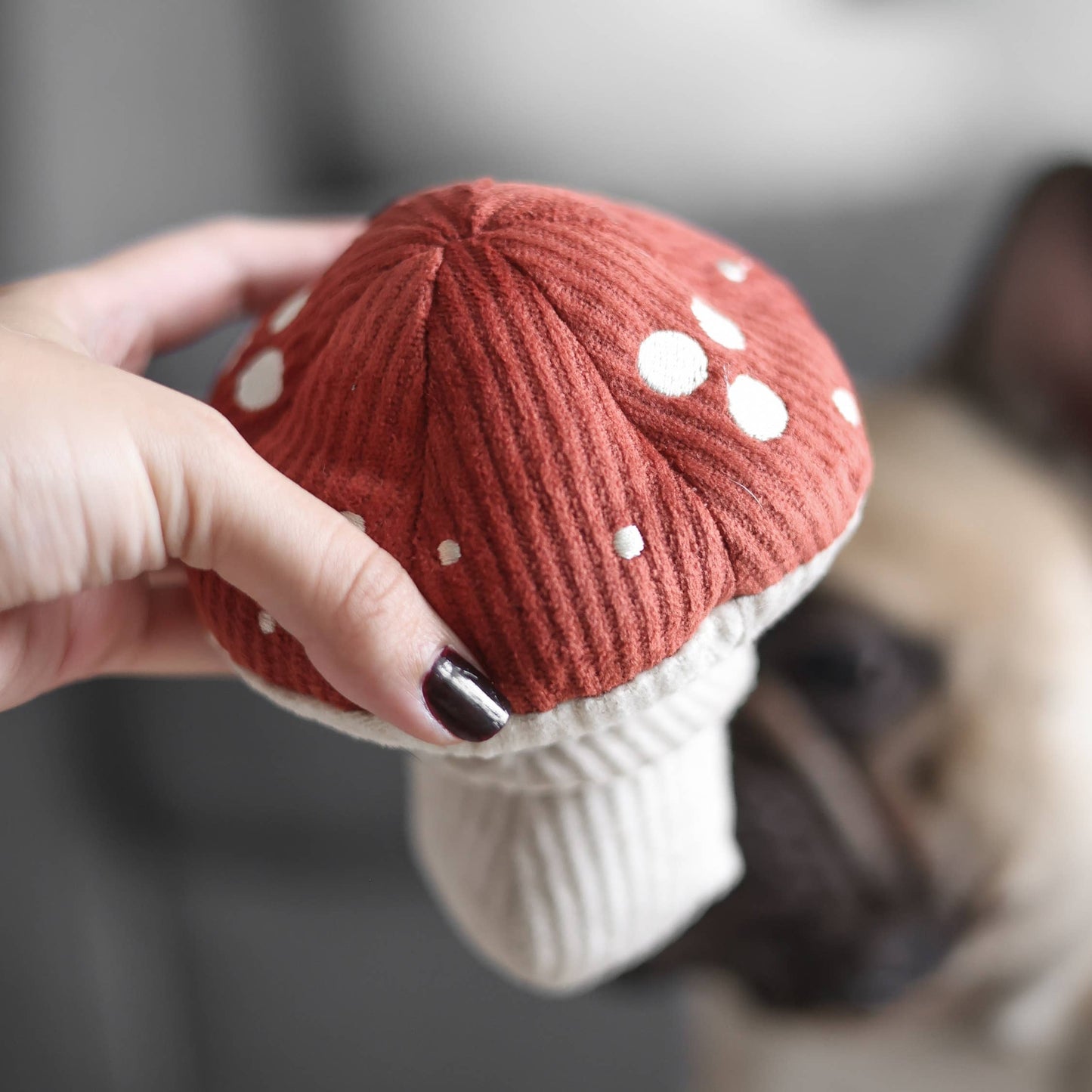 Anreicherungsspielzeug "Shroom"