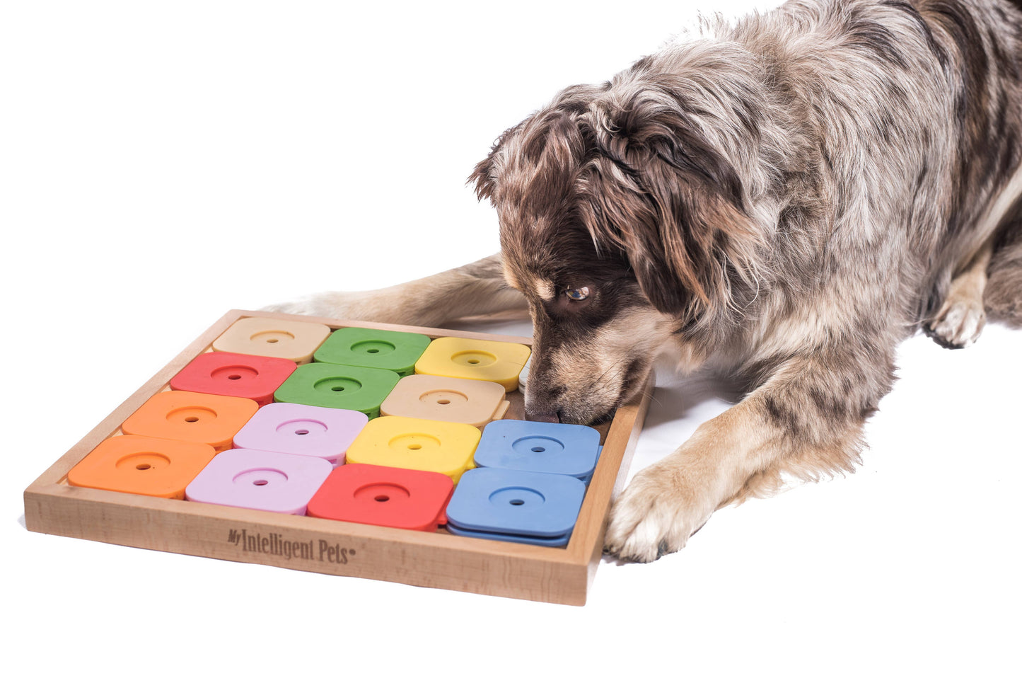 Beschäftigungsspiel für Hunde "Dog' Sudoku Medium Genie"