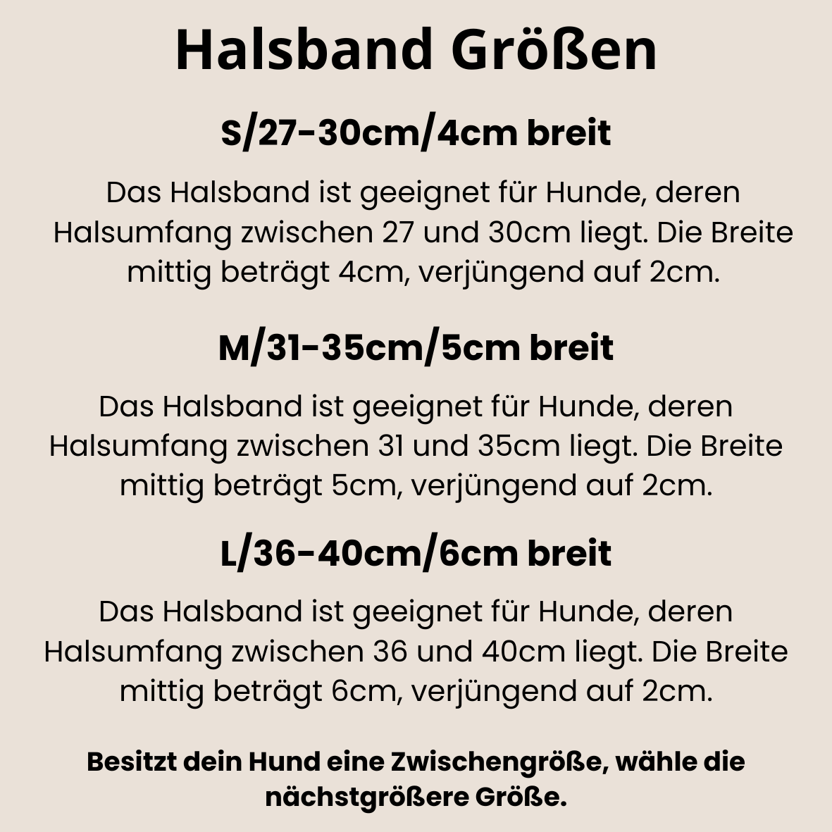 CLASSIC WIDE Fettleder Windhundhalsband | Maßgefertigt & robust