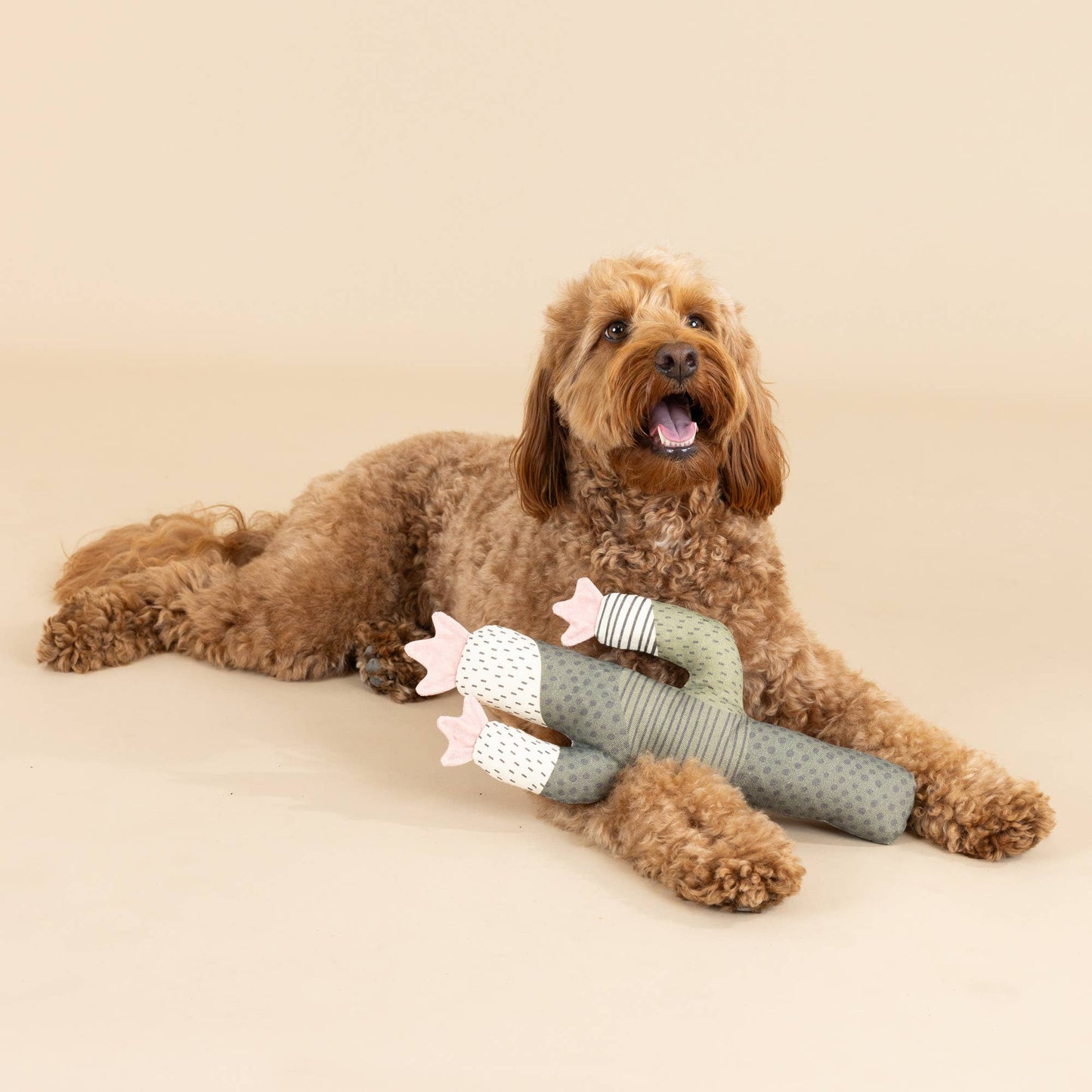Hundespielzeug "Kaktus"