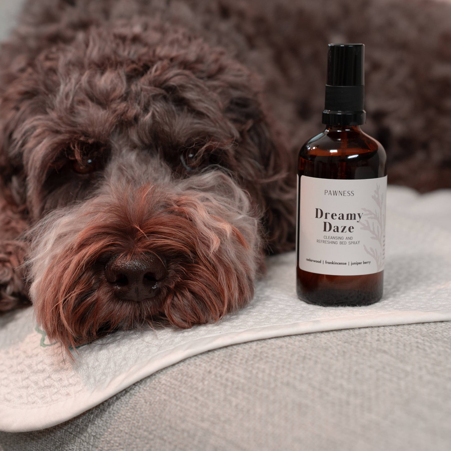 Hundebett Spray "Dreamy Daze" 100ml
