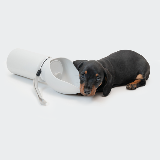 Hunde- Trinkflasche für unterwegs 550ml