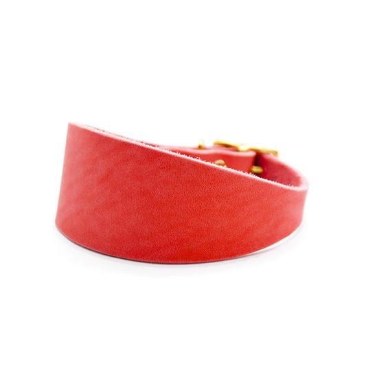 CLASSIC WIDE Fettleder Windhundhalsband | Maßgefertigt & robust