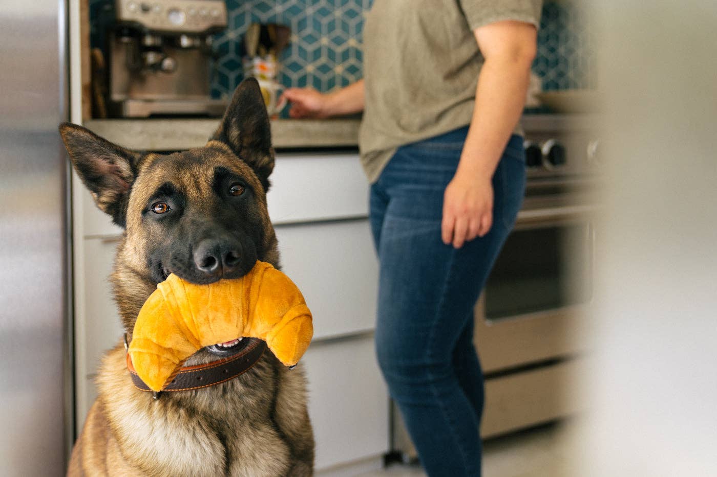 Hundespielzeug "Croissant"