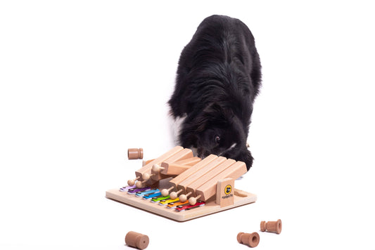 Beschäftigungsspiel für Hunde und Katzen "Pet's Piano"