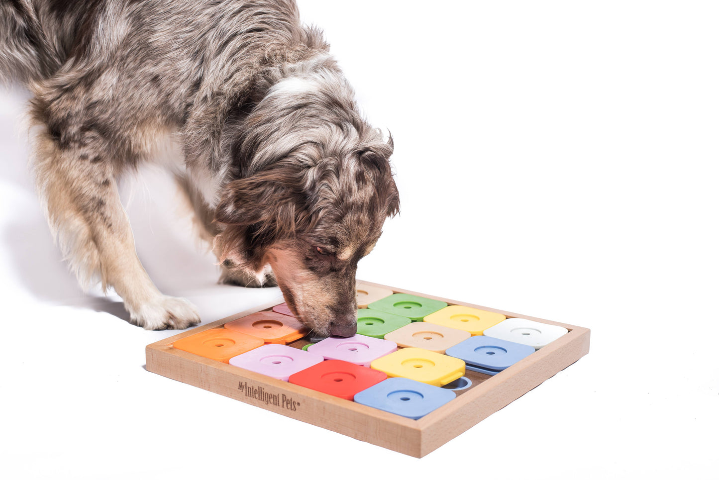 Beschäftigungsspiel für Hunde "Dog' Sudoku Medium Genie"