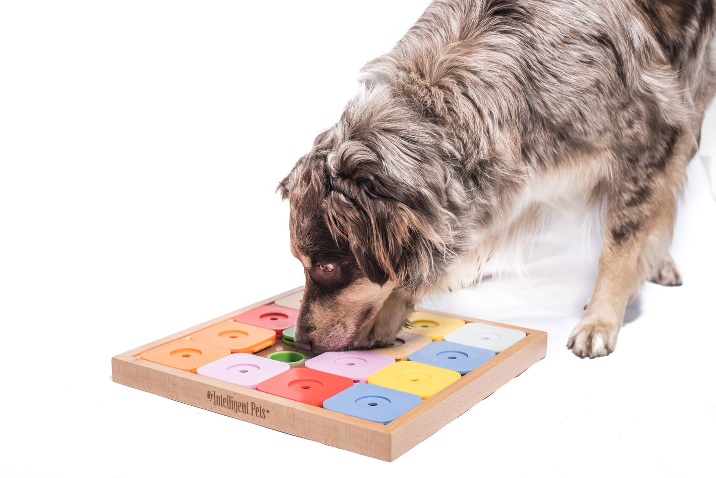 Beschäftigungsspiel für Hunde "Dog' Sudoku Medium Genie"