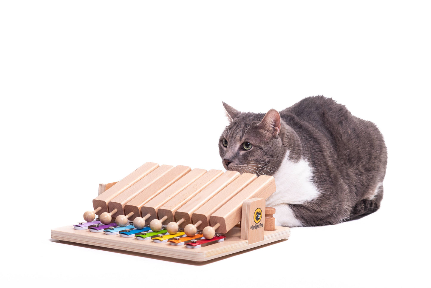 Beschäftigungsspiel für Hunde und Katzen "Pet's Piano"