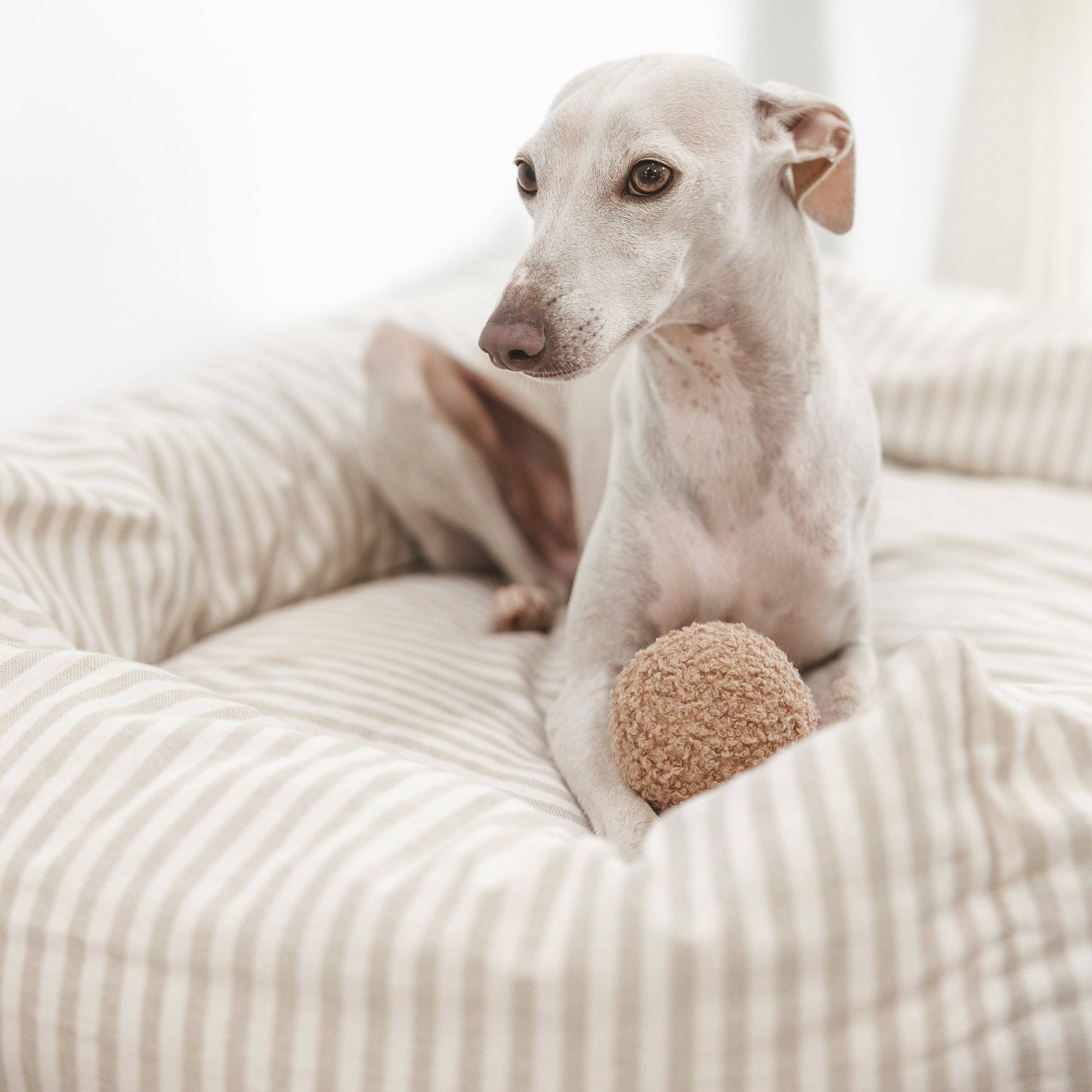 Hundebett "Nuck Puglia" mit abnehmbarem Bezug