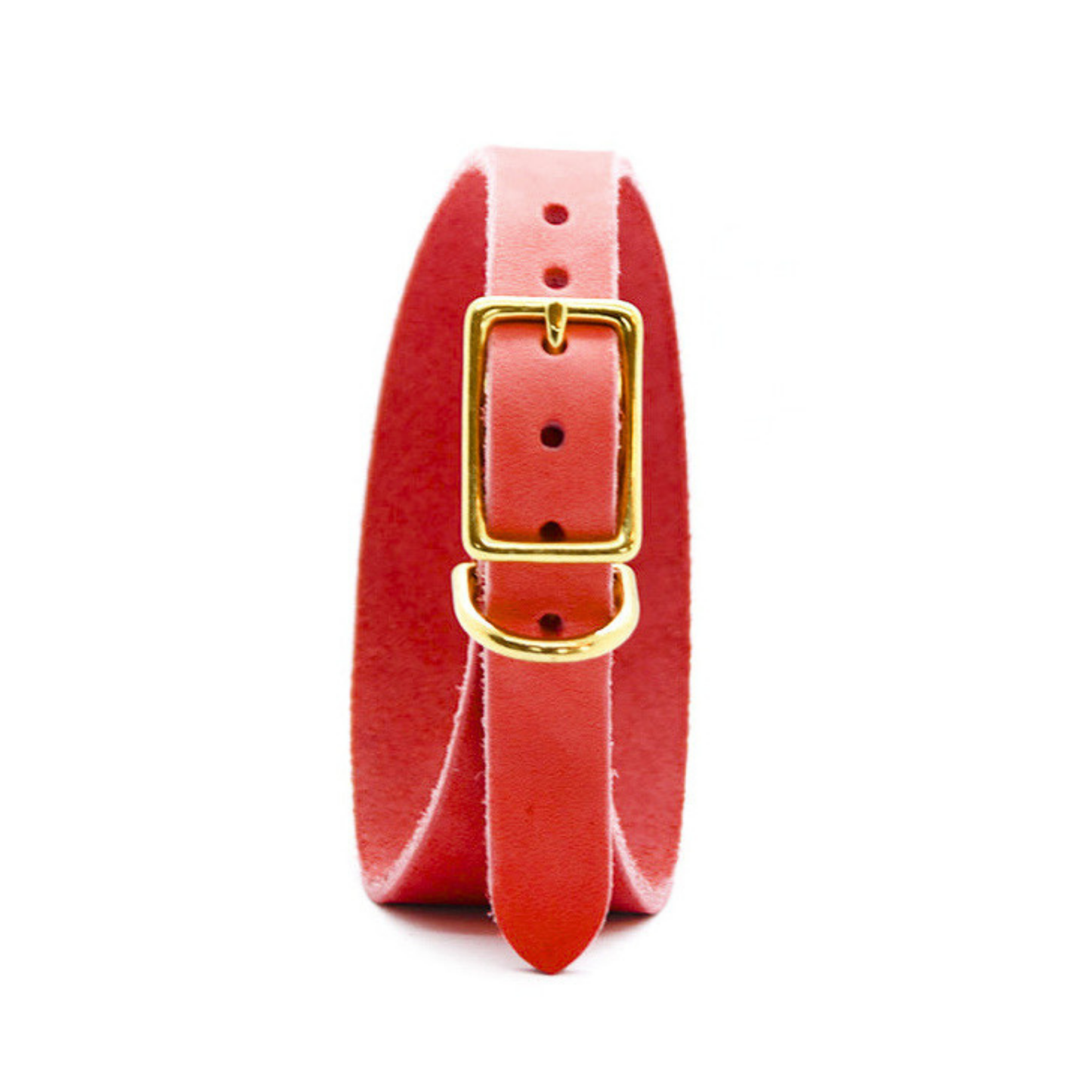 CLASSIC WIDE Fettleder Windhundhalsband | Maßgefertigt & robust