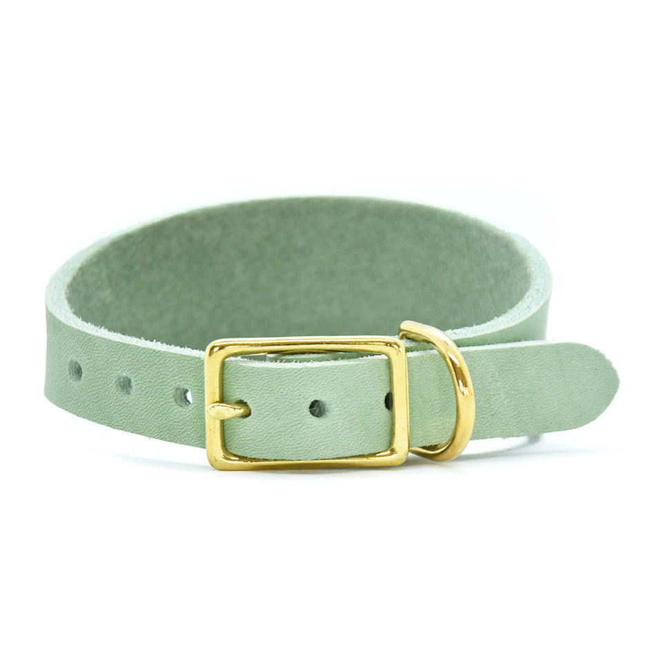 CLASSIC WIDE Fettleder Windhundhalsband | Maßgefertigt & robust