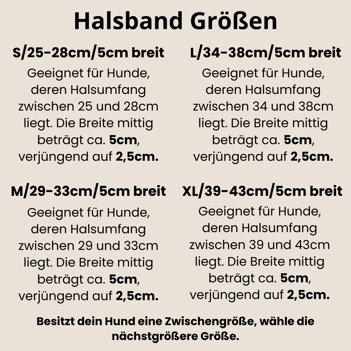 SARI Halsband Set | Windhund | Edles Lederhalsband mit indischer Borte yellow