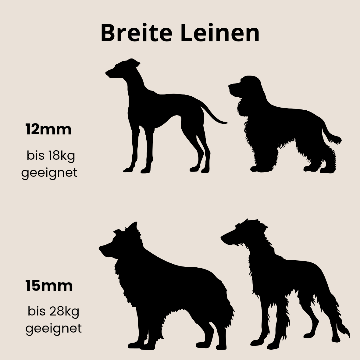 SARI Halsband | Windhund | Edles Lederhalsband mit indischer Borte lightblue
