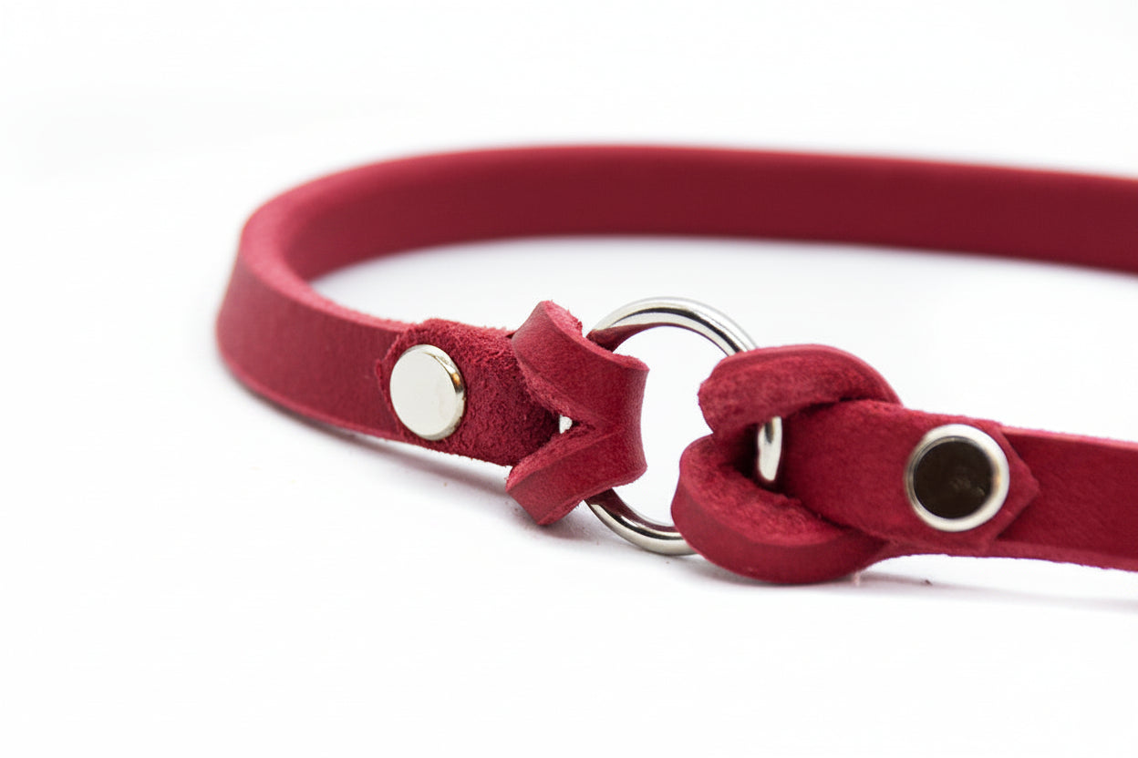 CLASSIC TAG Markenhalsband aus Fettleder | Halsung für Hundemarke