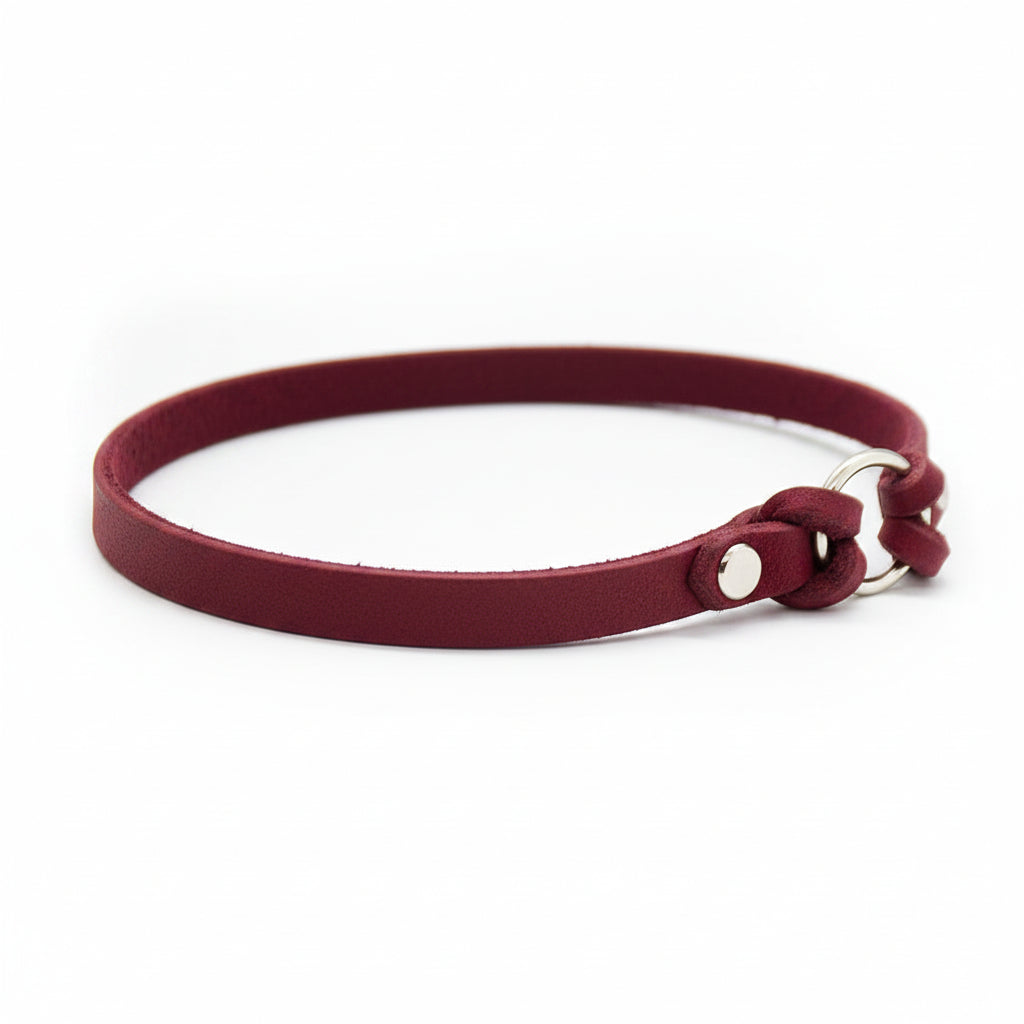 CLASSIC TAG Markenhalsband aus Fettleder | Halsung für Hundemarke