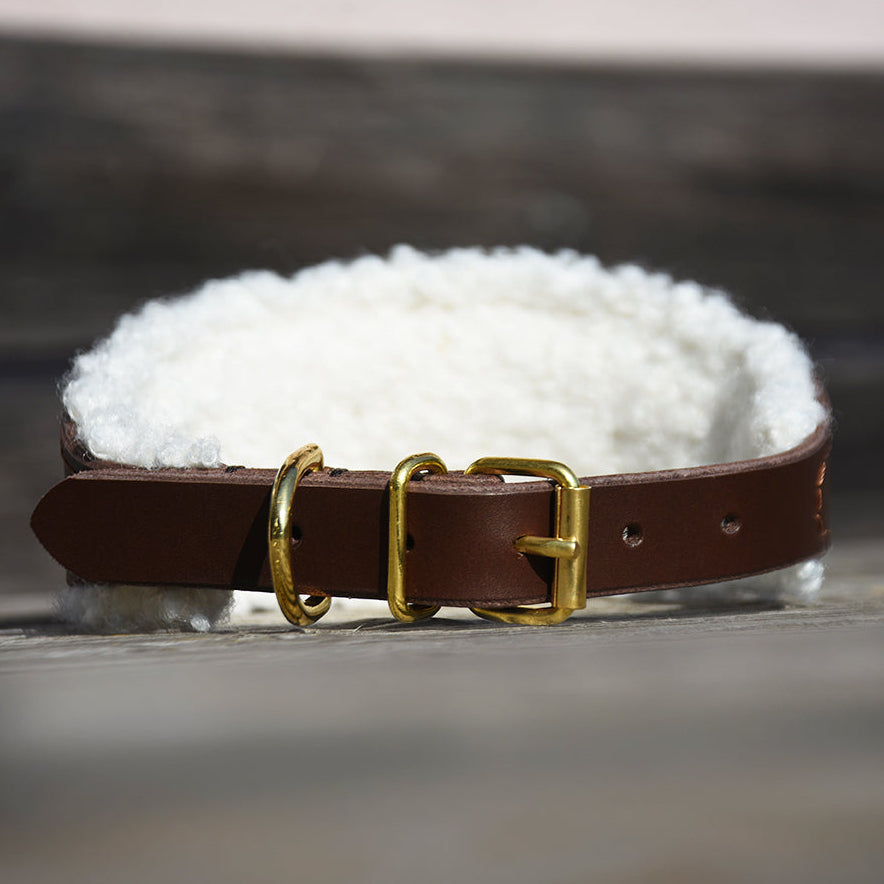 TEDDY Windhundhalsband | gepolstertes Lederhalsband mit Teddyfleece